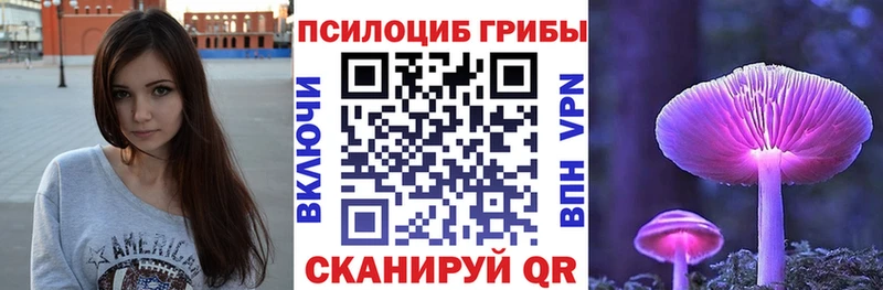 Псилоцибиновые грибы прущие грибы  маркетплейс клад  Нефтегорск  где можно купить наркотик 